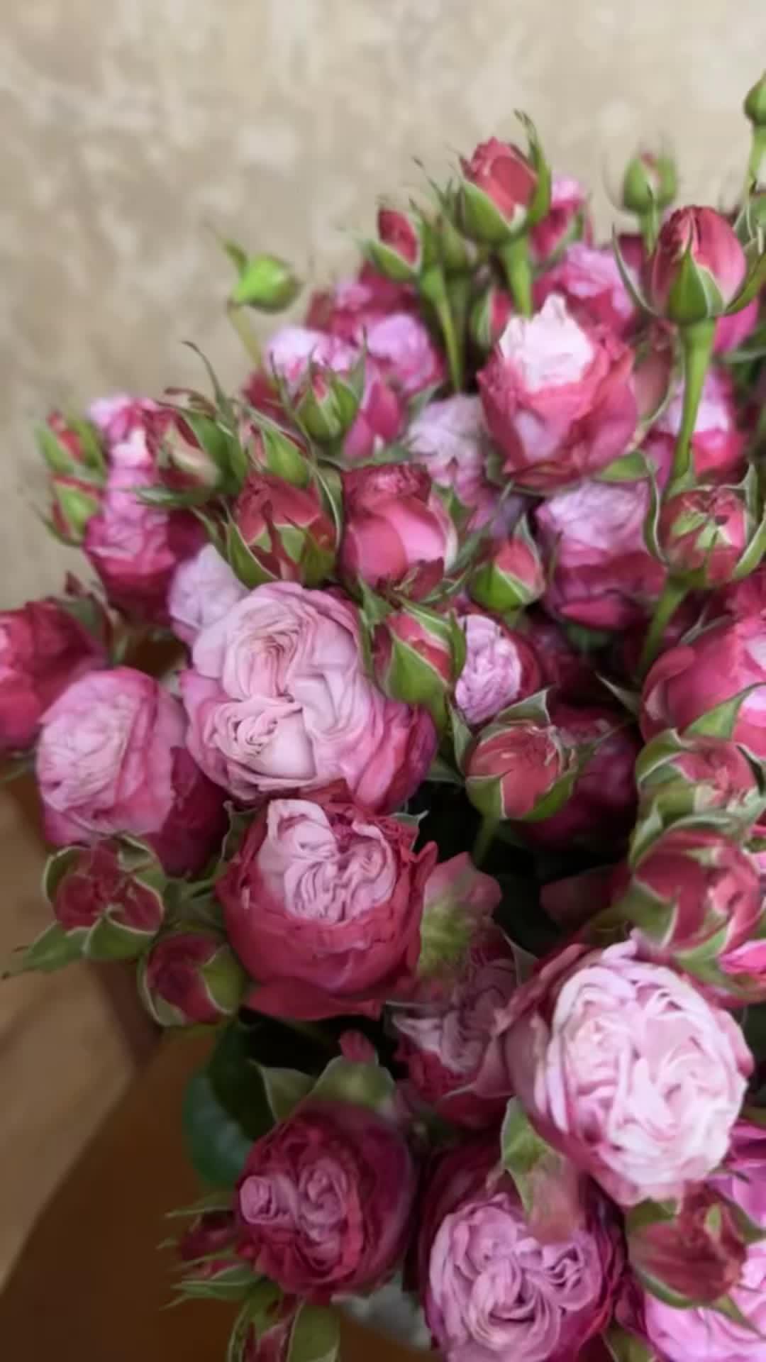 Whiff of Enchantment Petal Symphony