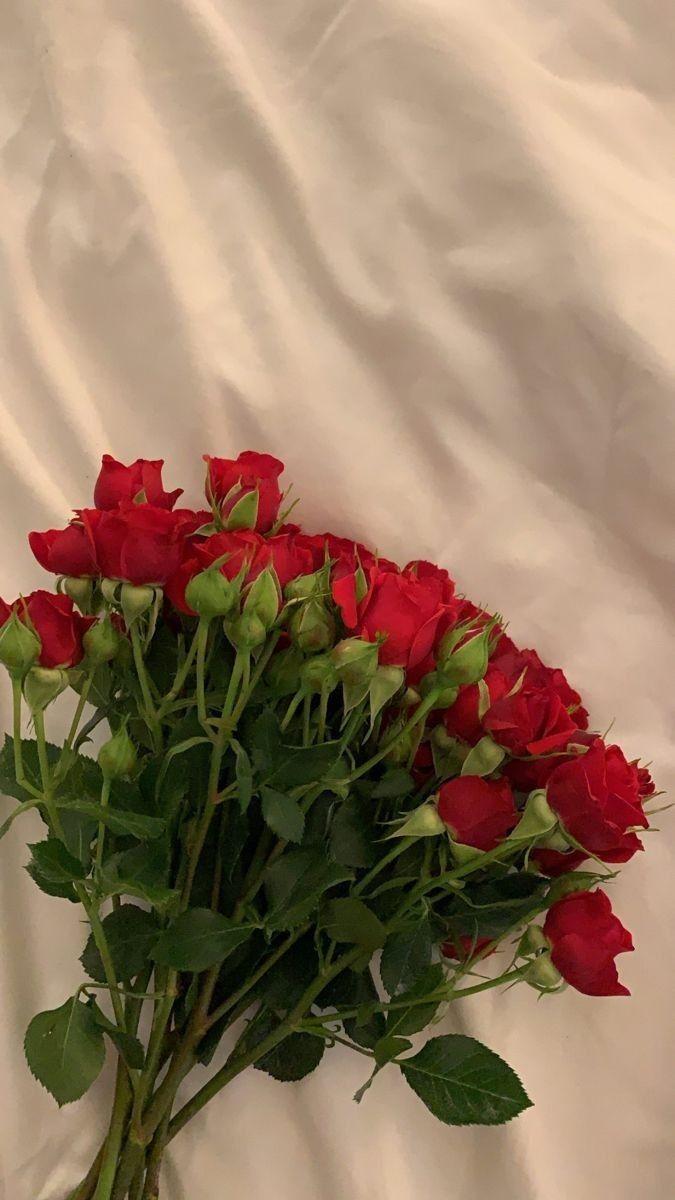 Morning Dew's Fresh Bouquet Kiss